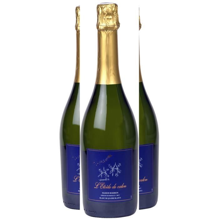 Champagne - Coffret dégustation 3 bouteilles – 3x75cl - La cave Cdiscount