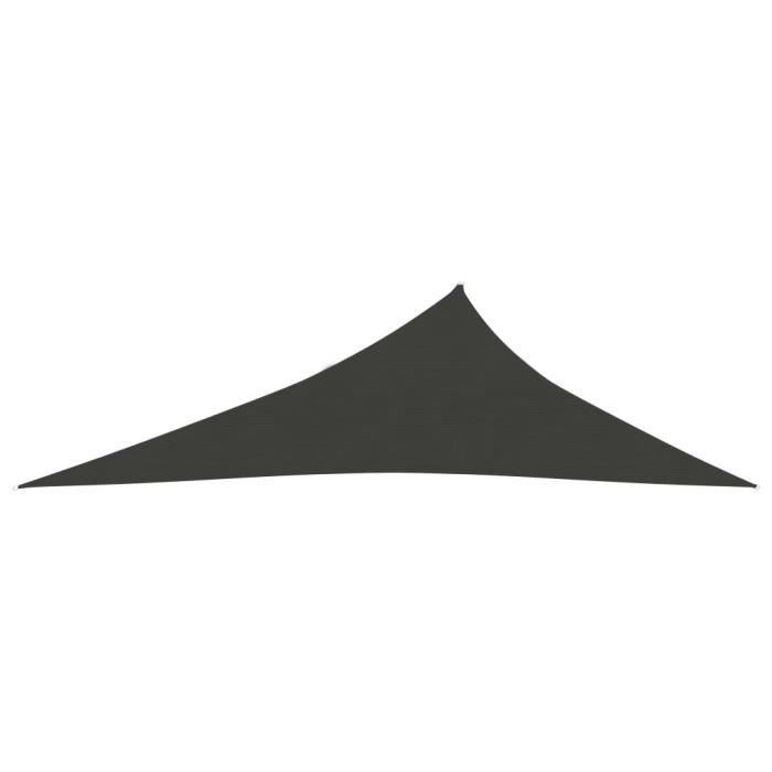 Voile D'Ombrage Triangulaire Anthracite 5x6x6m - PEHD, 90% UV, Résistante Moisissure, Facile à Fixer