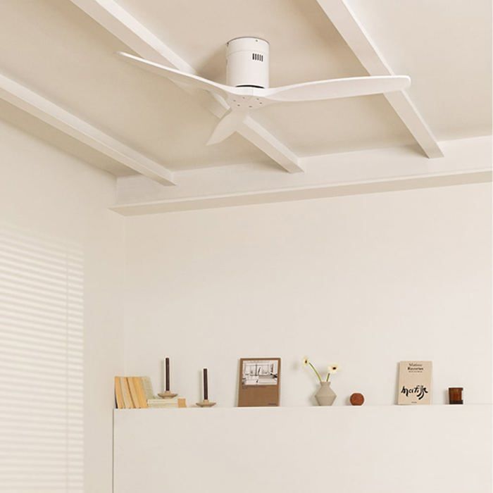 WIND CALM - Ventilateur de - Create