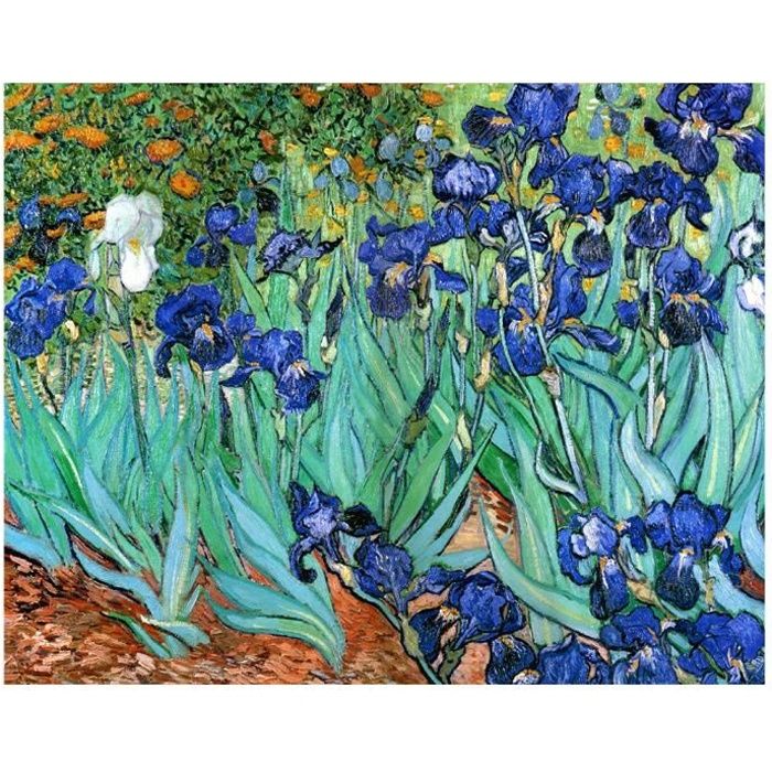 Legendarte - Tableau, Impression Sur Toile - Iris Vincent Van Gogh cm. 50x70