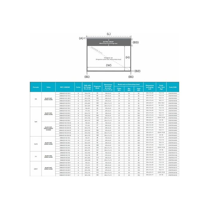 Ecran de projection motorisé - LUMENE - EMBASSY HD 300C