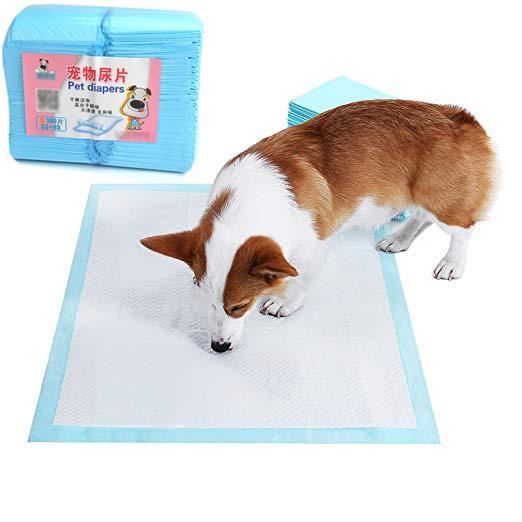 Tapis Educateurs Apprentissage Pour Chiot Chat Proprete Tapis D Apprentissage Couches Pour Animaux De Compagnie 100 Pieces 33x45cm Achat Vente Toise Pour Animal Tapis Educateurs Apprentiss Cdiscount Tapis Educateurs Apprentissage Pour Chiot Chat Proprete Tapis D Apprentissage Couches Pour Animaux De Compagnie 100 Pieces 33x45cm Achat Vente Toise Pour Animal Tapis Educateurs Apprentiss Cdiscount