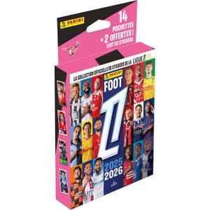 Sticker PANINI FOOT 2024 Ligue 1 Numero 58 Maxime GONALONS Clermont Foot