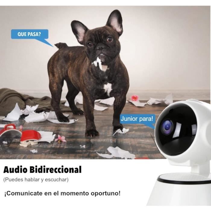 Caméra de sécurité intérieure 1080p pour moniteur pour bébé, caméra pour  chien avec détection de mouvement, sirène audio 2 voies, vision nocturne