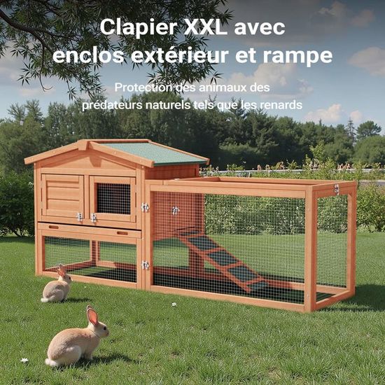 Clapier A Lapin Xxl Avec Un Espace Exterieur Et Un Grand Abri