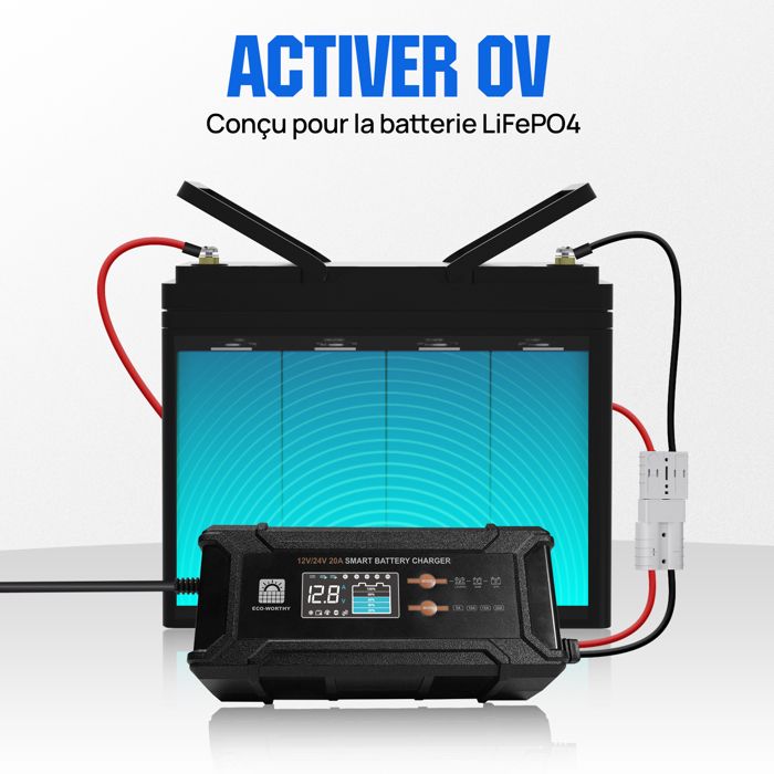 ECO-WORTHY 14,6V 25A Chargeur LiFePO4 avec convertisseur 600W de 12V à 230V, priorité au Secteur et Fonction UPS, pour Batterie LiFePO4 Deep Cycle, Voiture, Camion, véhicule de Tourisme
