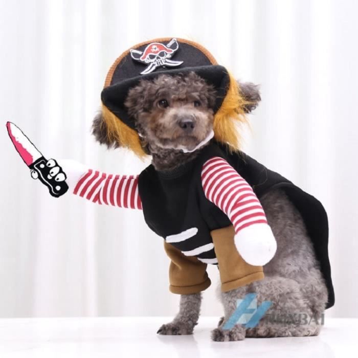 B M Costume d halloween pour chien v tements de no l pour chien d guisement Cosplay de Cavalier bouledogue fran ais carlin