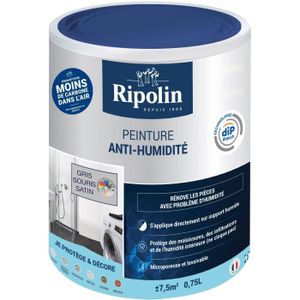 PEINTURE - VERNIS RIPOLIN - Peinture Anti-Humidité - Gris souris - S