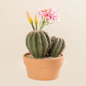 Fleur Rose cactus plante Non-Slip Porte Tapis Sol Moquette Tapis salle de bain pad Smart 