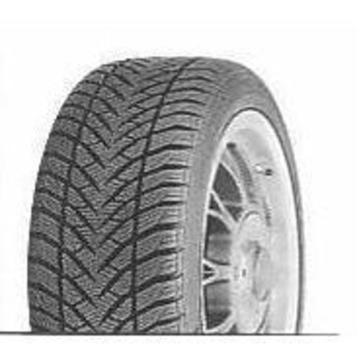 Goodyear Wrangler UltraGrip bmw rof 255-50 R19 107 H - Pneu auto 4X4 Hiver