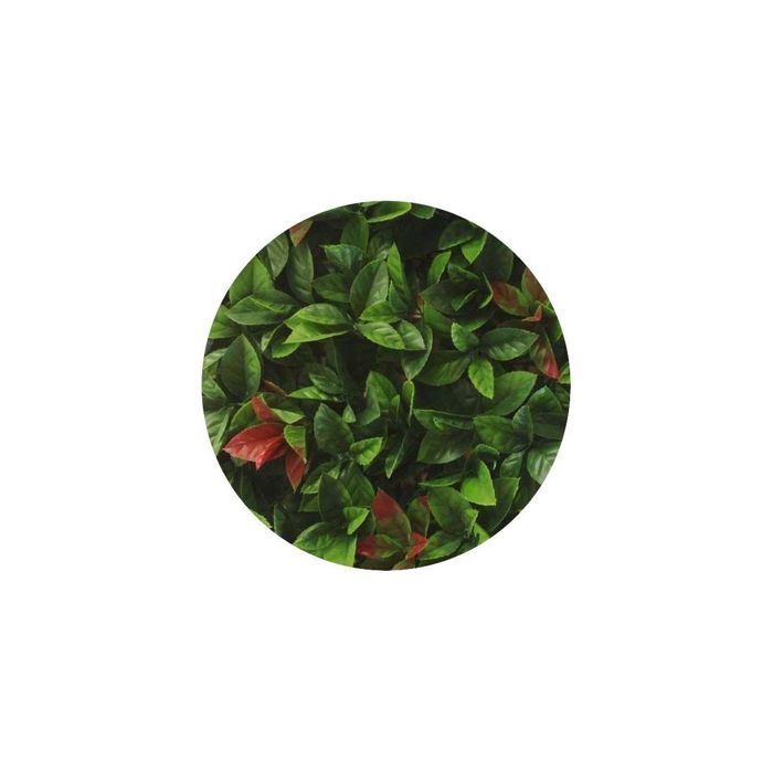 Plaque clipsable carrée Red Robin Dentelé - 50 cm x 50 cm (vendu par 3 m2)