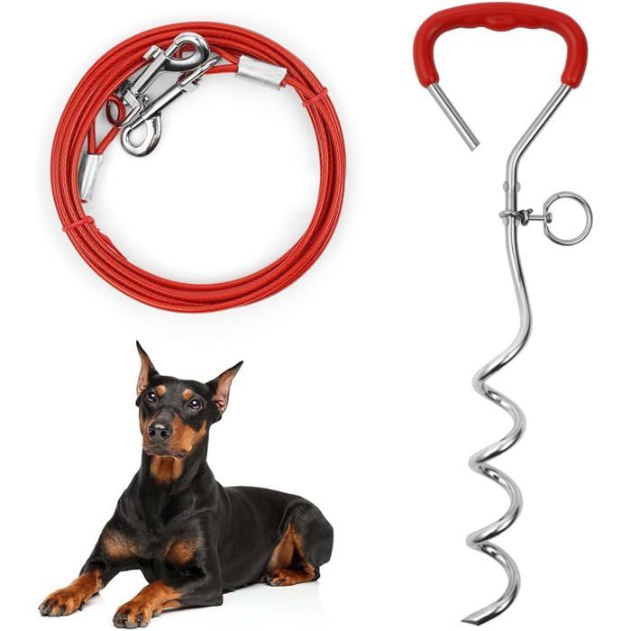 Aseneat Chaîne De Pluie Pour Cage à Oiseaux, En Fer Forgé Antirouille