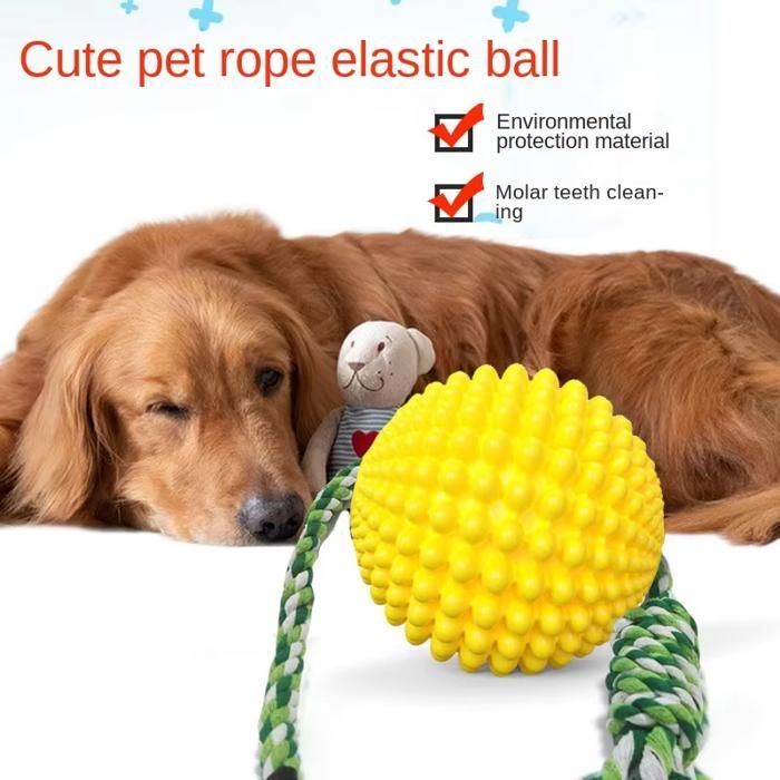 Jouet de balle pour chien - Phoesky - TPR écologique - Corde de coton - Interactif - Formation éducative