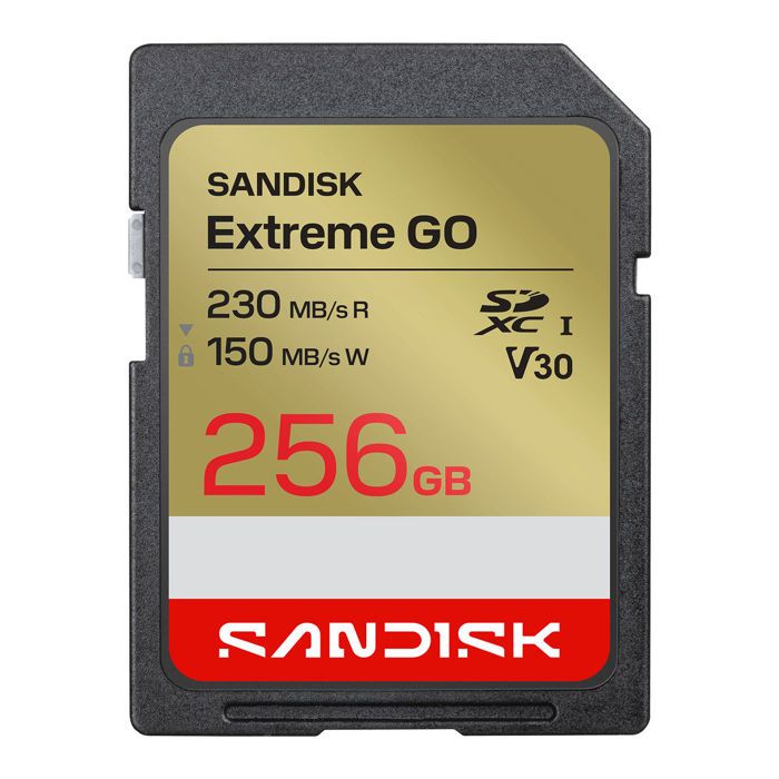 SanDisk Extreme GO SDXC UHS I - vue 3