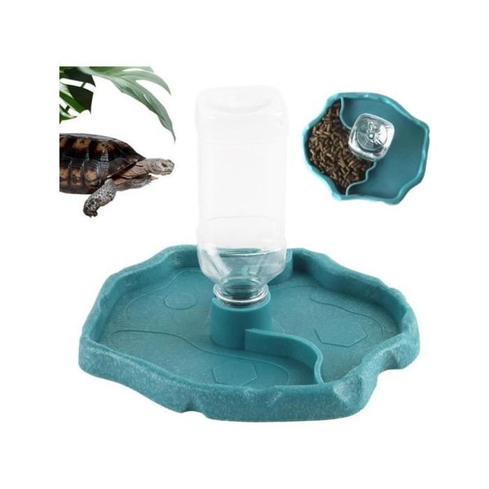 Abreuvoir 2 en 1 pour Tortue Terrestre & Reptiles – Bol dEau pour Terrarium