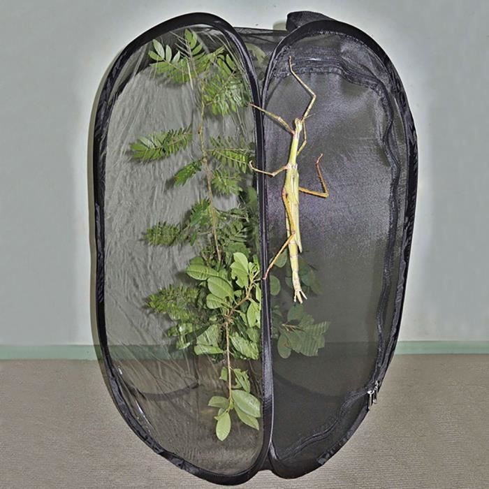 Cage à Papillons Et Insectes - Habitat Mesh 40x40x60 Cm - Éducatif Et Pliable