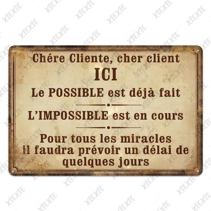 WADORN Plaque Métallique Humoristique Chat, 20x30cm Plaque Métallique 'Do What I Want' Pour Amoureux Des Chats Décoration Murale Vintage Pour Maison Bureau Chambre Café Salon Jardin Ou