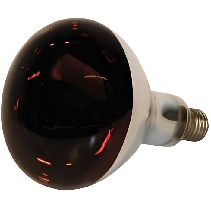 Lampe chauffante - Pet Elevage - Standard - 250W - Verre trempé - Utilisation intérieure