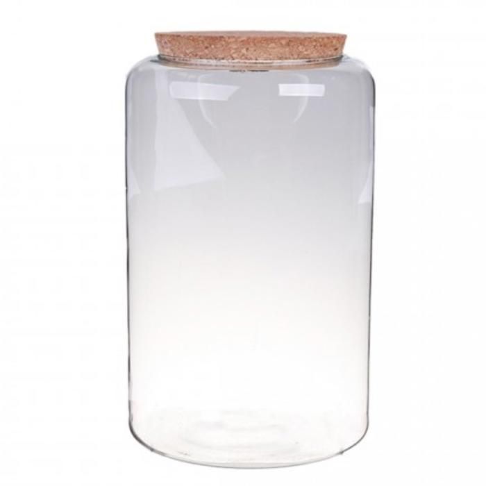 Terrarium En Verre Avec Bouchon Liège Et LED – Mini Jardin Hydroponique, Décoration Bureau, Aquarium Betta - 3