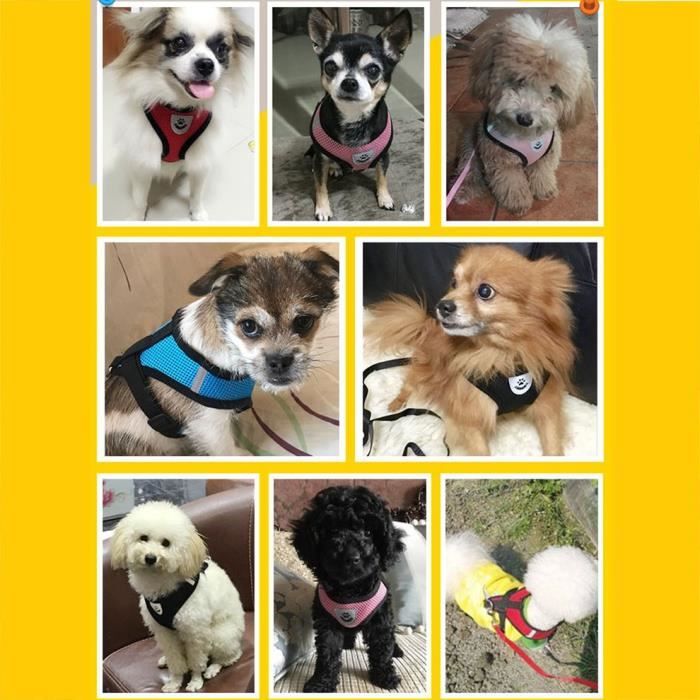 Meilleurs prix pour Harnais ajustable pour chien chiot pour chiens de compagnie gilet voiture en cours d'exécution petit moyen rembourré, rose et noir,