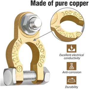 Adaptateur De Cosses Pour Batterie - 1 Paire - Convertisseur De Borne Universel - Neuf Avec étiquettes
