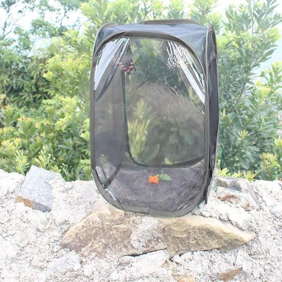 Balacoo Habitat Cage pour Insectes et Papillons Jardin de Papillons Pliable Terrarium Pop Up 30x30x30cm