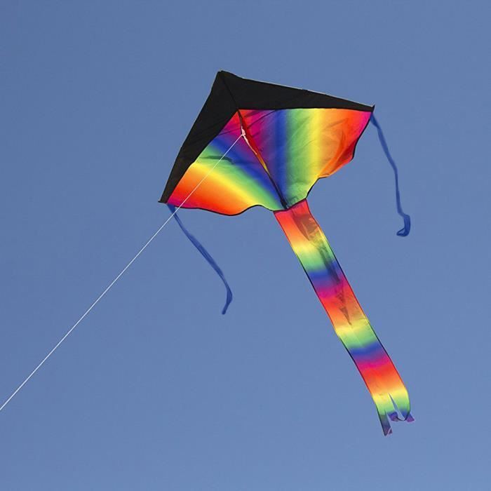 Arc-en-ciel à longue queue, avec logiciel d'activités de jeu de plein air à  cordes Cerf-volant facile à piloter Bande - Cdiscount Jeux - Jouets