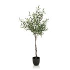 Plante artificielle - hjh OFFICE - OLIVE - Vert - Plastique