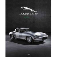 Jaguar. Le mythe anglais