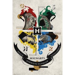 Film Kino Movie Poster House Flags Harry Potter 61x91,5 cm 
