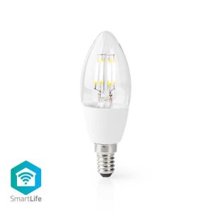 HURRISE petite ampoule Ampoule LED E12, 10pcs 1.5W 220V Blanc