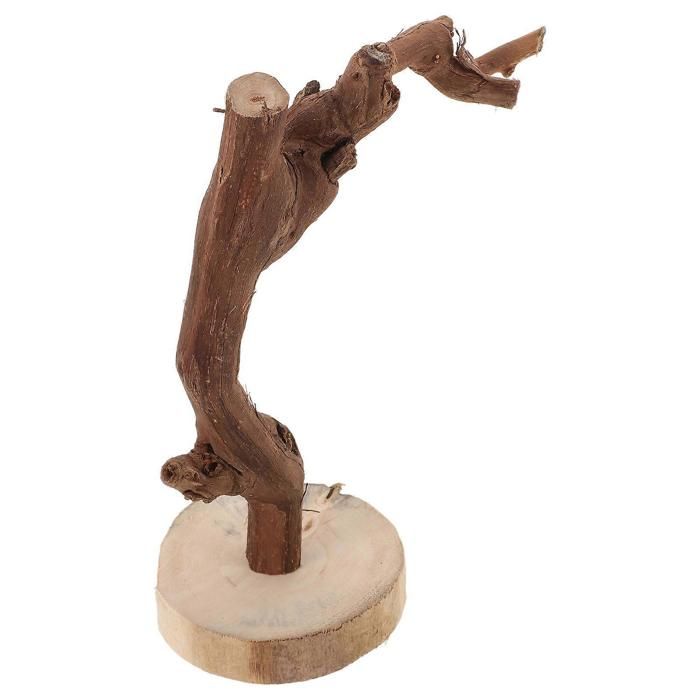 Perchoir pour perroquet support en bois avec base accessoire pour perroquet