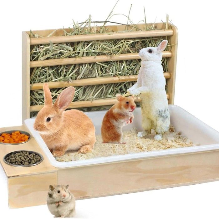 Mangeoire à foin 3‑en‑1 pour lapin combiné avec bac à litière et bols de nourriture accessoire complet pour petits animaux