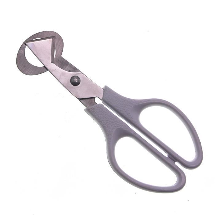 Coupe-Œufs, Coupe-Oeufs Professionnel Fils de Coupe en Acier Inoxydable