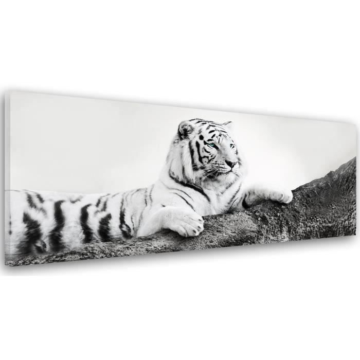 Tableau Decoration Murale Tigre Blanc Animal 40x1 Cm Impression Sur Toile Tableaux Pour La Mur Noir Et Blanc Salon Appartement Cdiscount Maison
