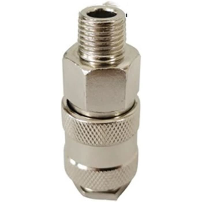 Perfk 2 Pièces Adaptateur 1/4 SAE Vers G1/4 IG - Raccord Régulateur Azote