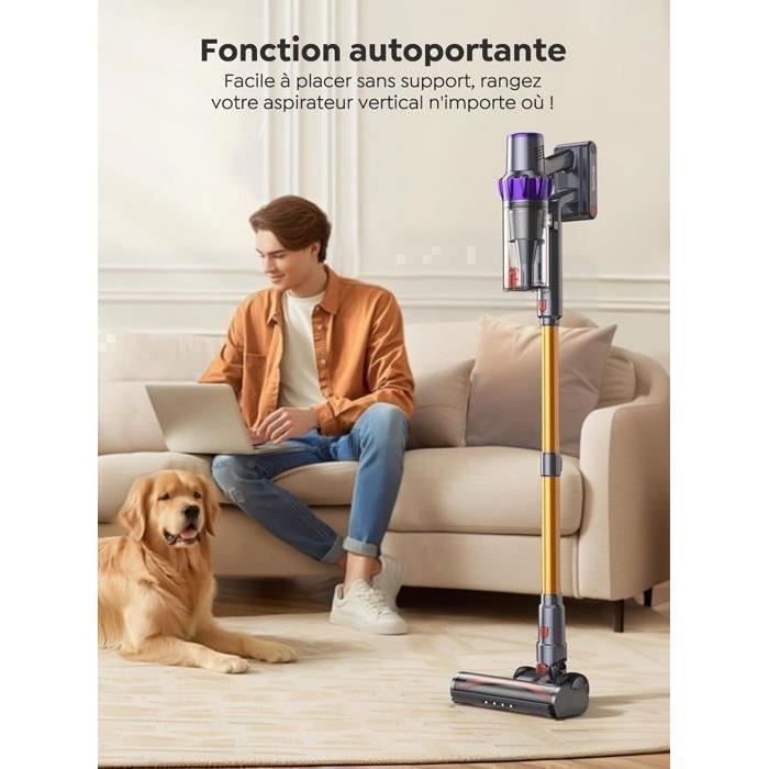 Aspirateur Balai Sans Fil Ultralent - 26000Pa 2200mAh - 45 Min Autonomie - Pour Poils D'Animaux Et Sols Durs