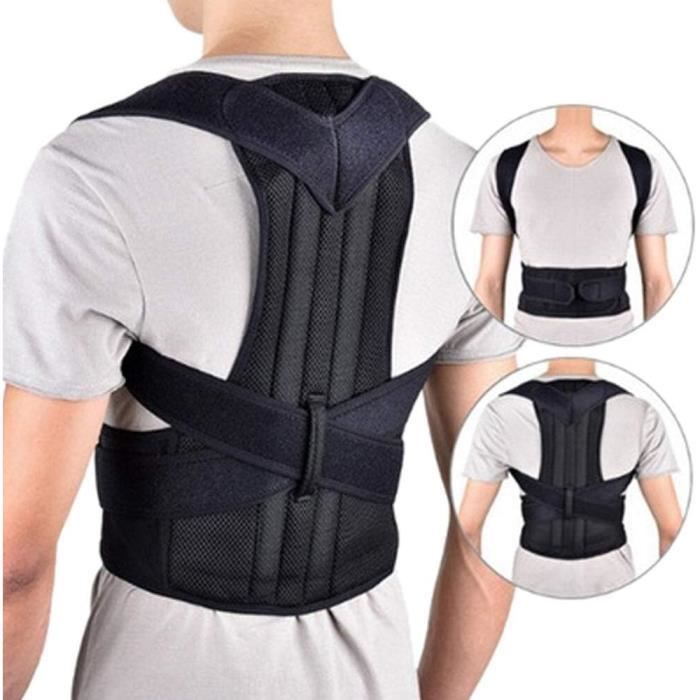Ceinture 2025 colonne vertébrale