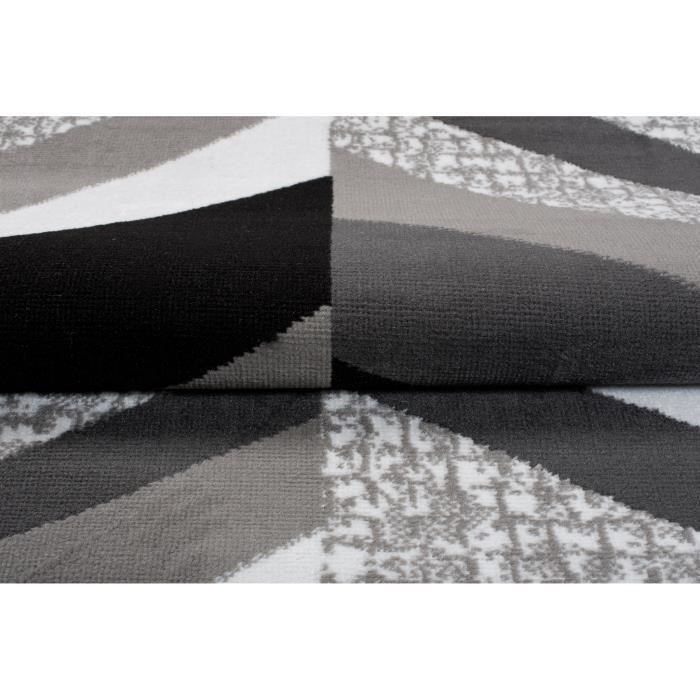 TAPISO Tapis Salon Poil Court Maya Noir Gris Blanc Moucheté Polypropylène  Intérieur 80x150 cm - Cdiscount Maison