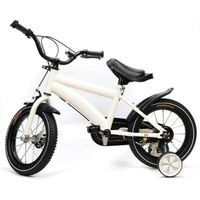Vélo pour Enfants 14 avec Roue auxiliaire résistante à lusure Cadre en Acier à Haute teneur en Carbone Vélo