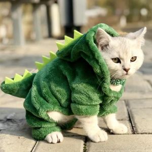 Vetement Pour Chat Cdiscount Vetement Pour Chat Cdiscount