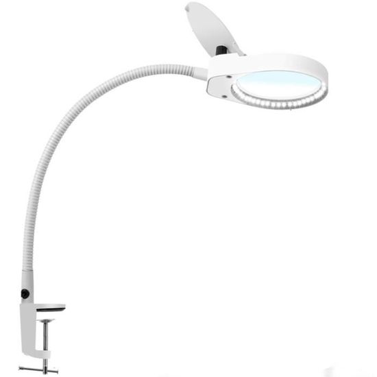 Lampe De Bureau Loupe Modèle Oie – Neuve, Avec Loupe Intégrée, Modèle DK-O01