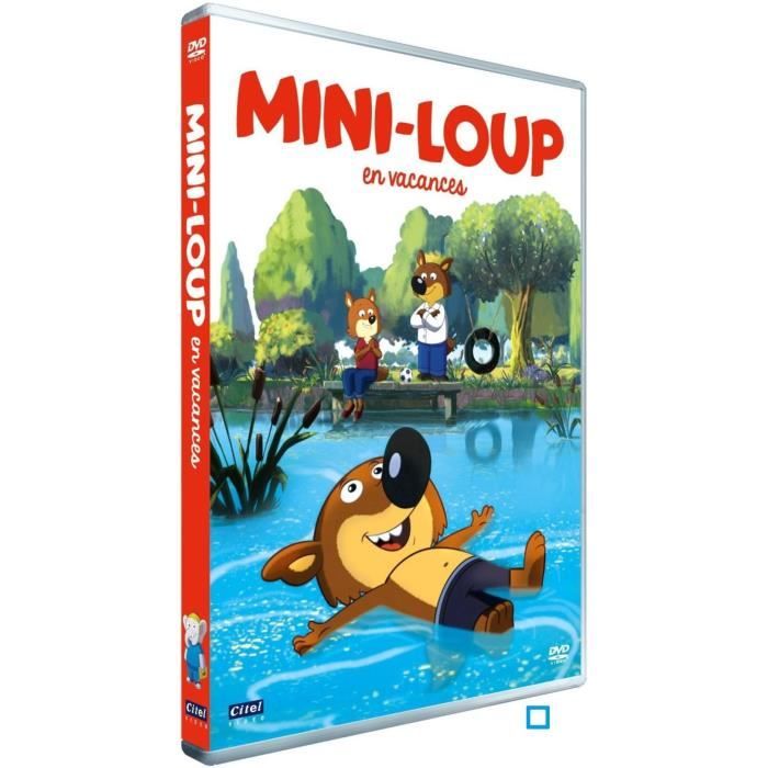 Dvd Mini Loup Vol 2 Mini Loup Fete Son Anniversaire Cdiscount Dvd