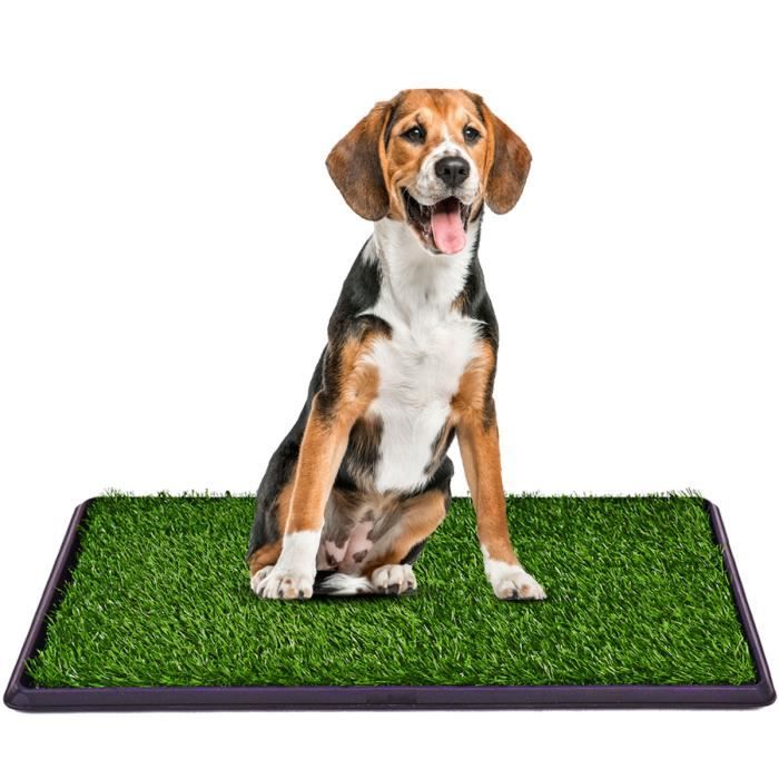 COSTWAY Toilette Chien Gazon Portable 51x76cm Litière pour Chien Tapis d’Herbe Matelas d'Entraînement pour Animaux