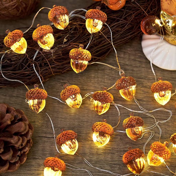 3DGuirlandes lumineuses en forme de glands lumières décoratives dautomne10pied30 LED USBBranchez-vous