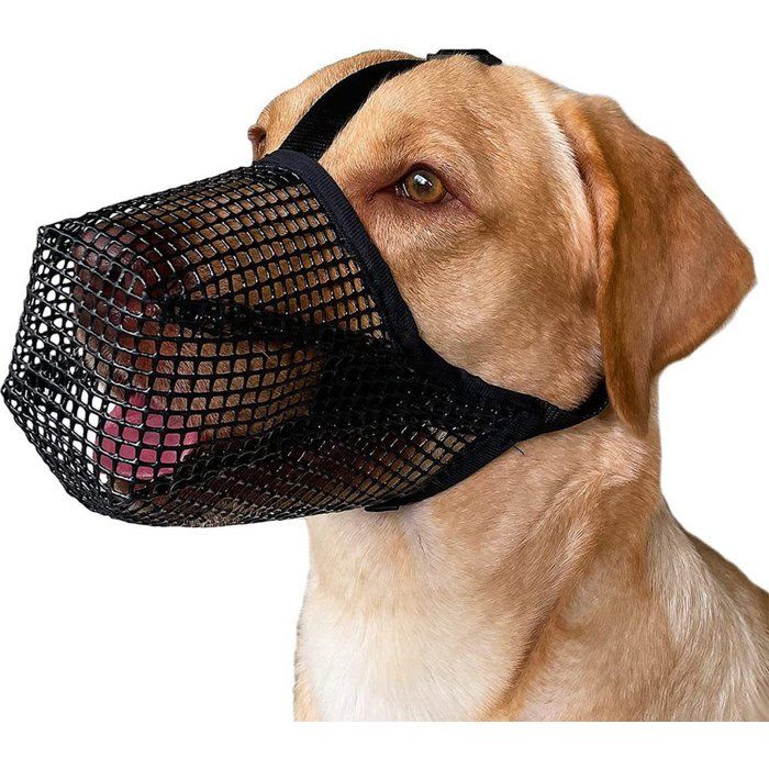 Muselière pour chien - Muselière noire - Taille M - Muselière anti-morsure - Muselière pour chien - Dressage canin - Maille