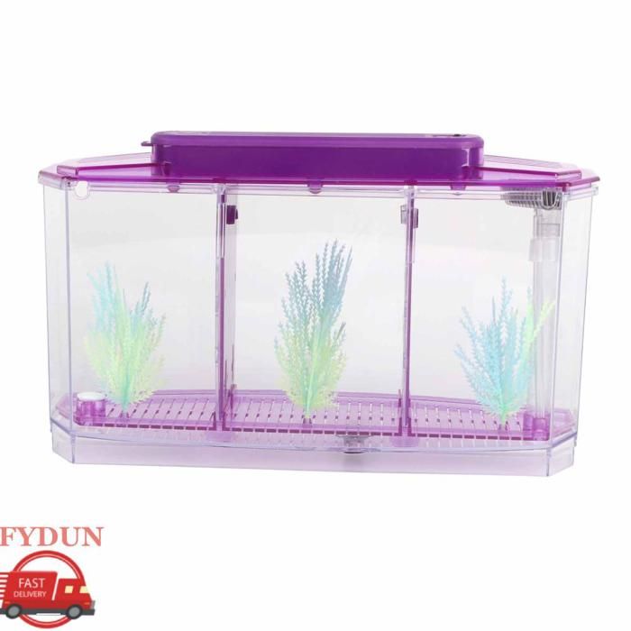 FYDUN Mini aquarium Aquarium Fish Tank LED Acrylique Trois Divisions Boîte disolation délevage pour Petits animalerie Violet