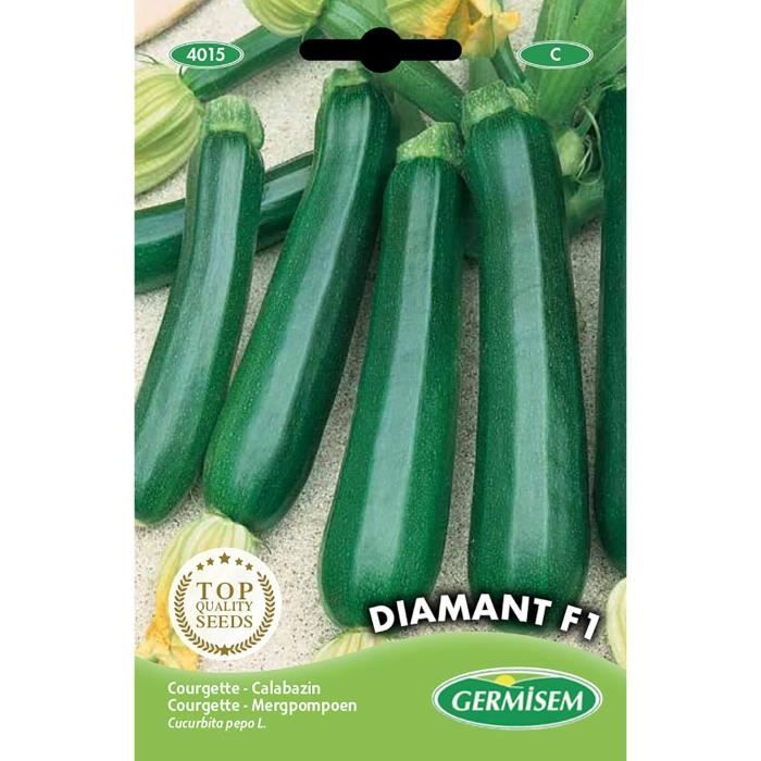 Courgette Ronde de Nice - biologische zaden - Puur van't veld