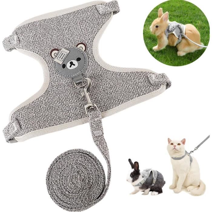 Harnais avec Laisse - Accessoires de Lapin - Réglable - Confortable - Durable - 12 m