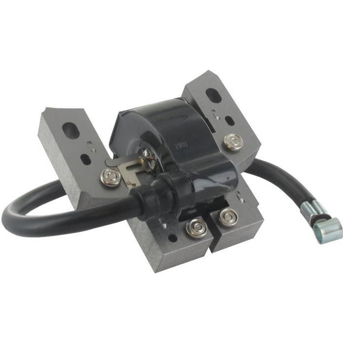 Bobine dallumage BRIGGS ET STRATTON 802574 492416 493237 695711 796964